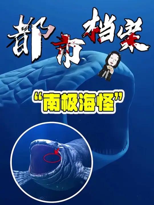 你知道震惊世界的海洋生物布鲁吗?他究竟真的存在吗