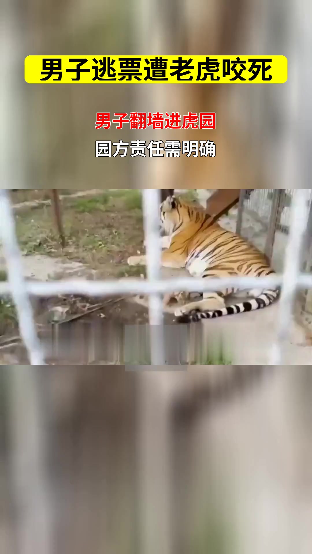 宁波动物园老虎咬人事件 逃票游客葬身虎口园区是否担责