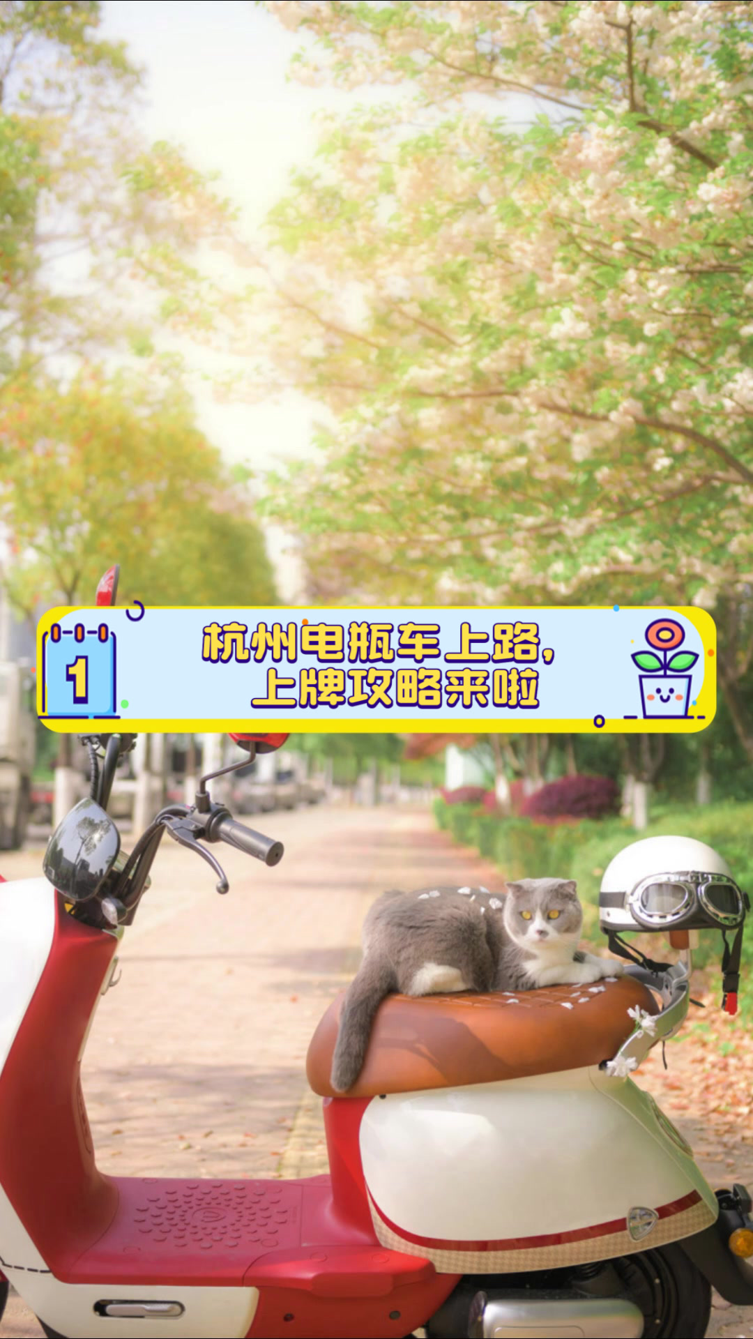 杭州电瓶车上路,上牌攻略来啦