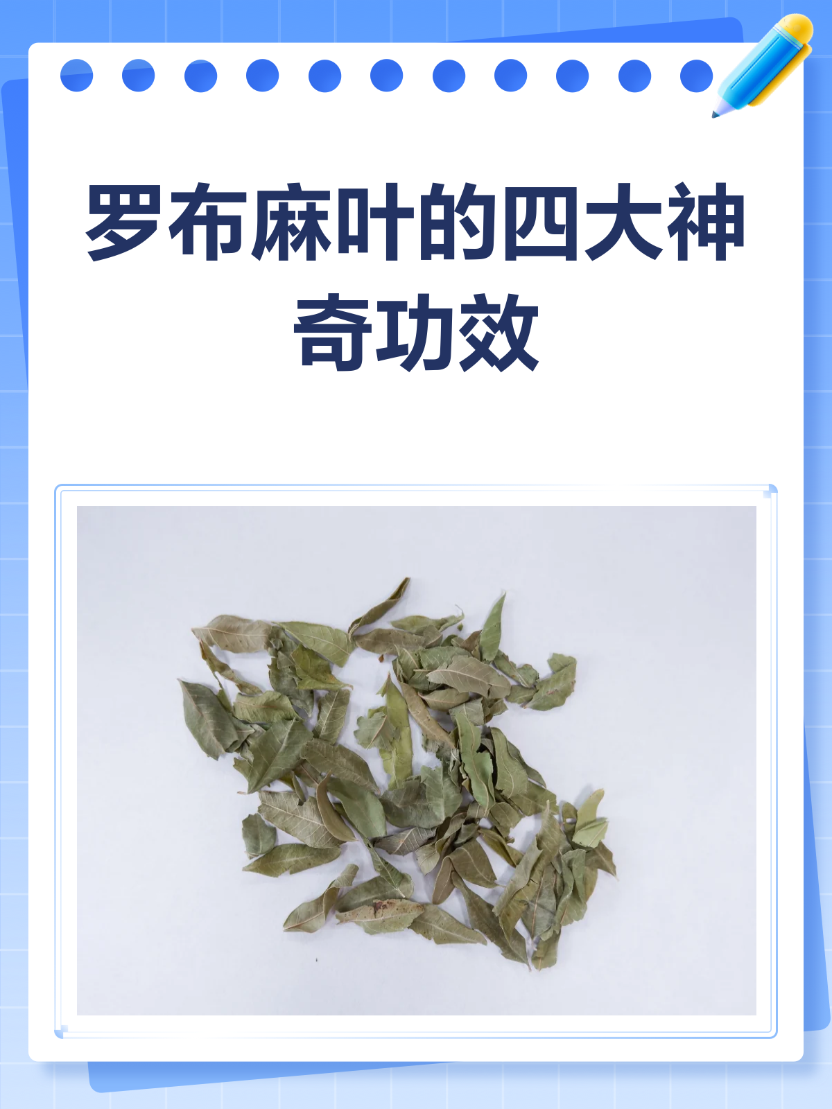 罗布麻叶:平肝安神又利水,功效知多少?