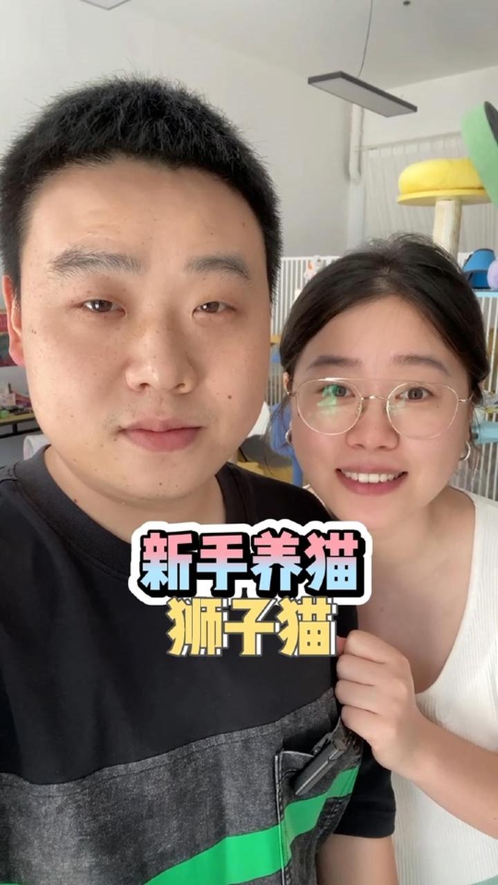 有没有养狮子猫的?真的是一点不输品种猫啊