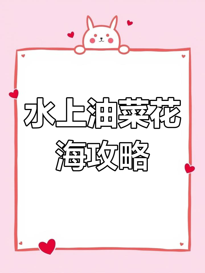 兴化千垛景区:水上油菜花海,四季美景尽收眼底
