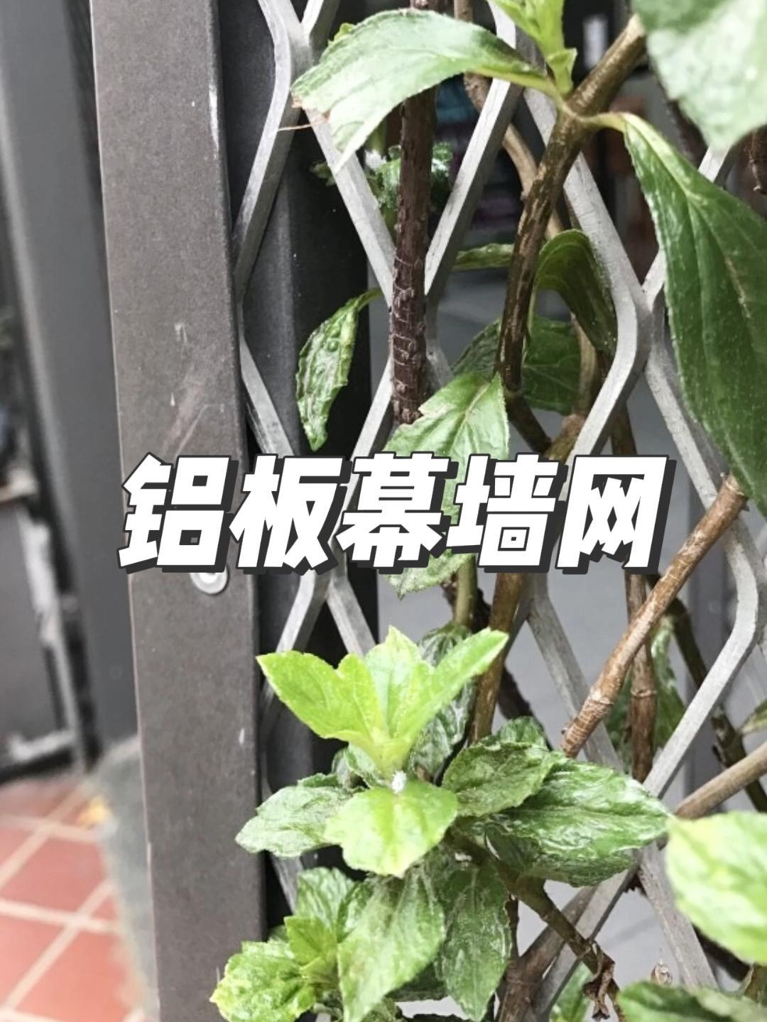 铝拉网吊顶可用于商场、车站、酒店、办公室等地方,安装方便,价格实惠,网面平整,质量可靠 天