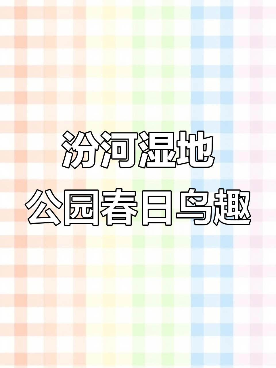 太原汾河湿地公园:斑嘴鸭、白骨顶与绿头鸭的春天