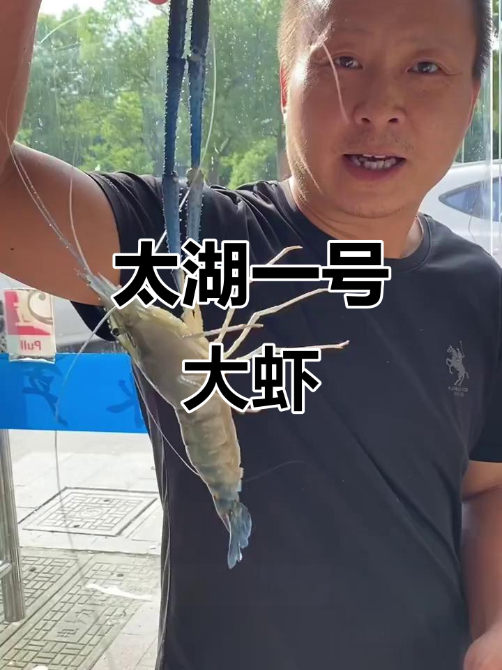 淡水大虾赛澳龙,太湖一号美味登场