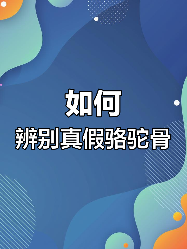 骆驼骨与大毛骨的区别解析