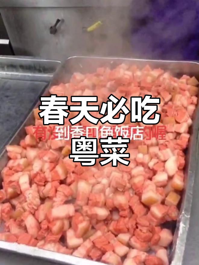 粤菜春季必试,回头客超多