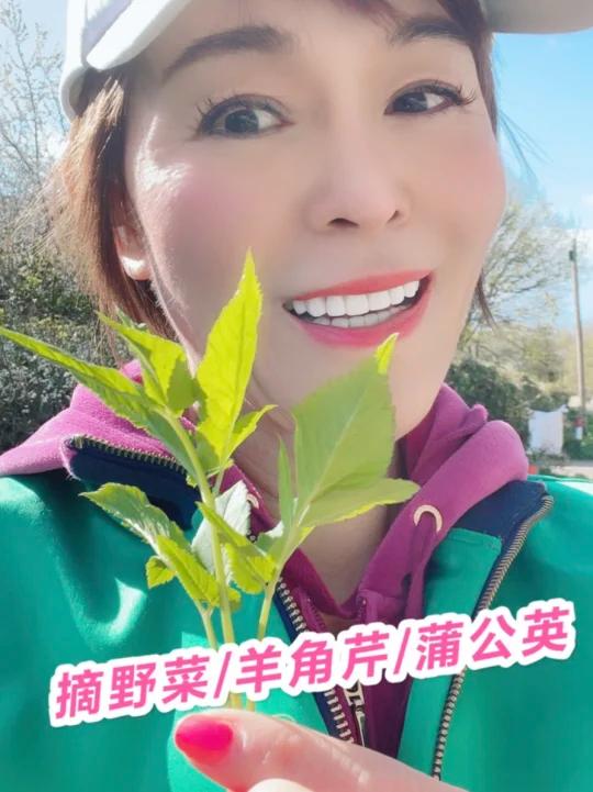 又发现了一个可吃的野菜羊角芹