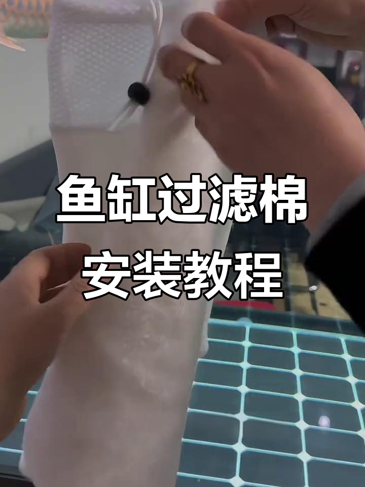 鱼缸过滤棉使用指南:魔毯与防溢流板搭配技巧