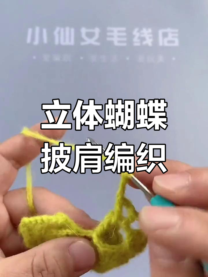 立体蝴蝶披肩钩针编织教程,轻松学会打造独特围巾