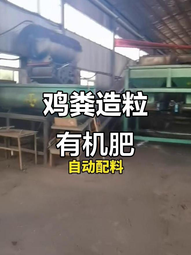 鸡粪发酵成颗粒有机肥,全套生产线设备解析