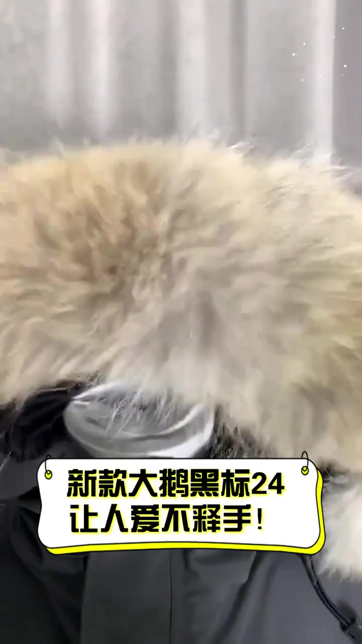 新款大鹅黑标24,让人爱不释手!