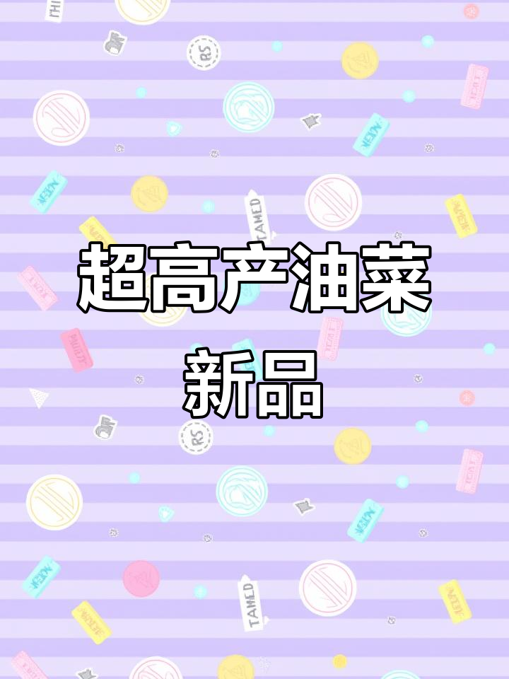 高产油菜新品种,低芥酸高含油量,抗病性强