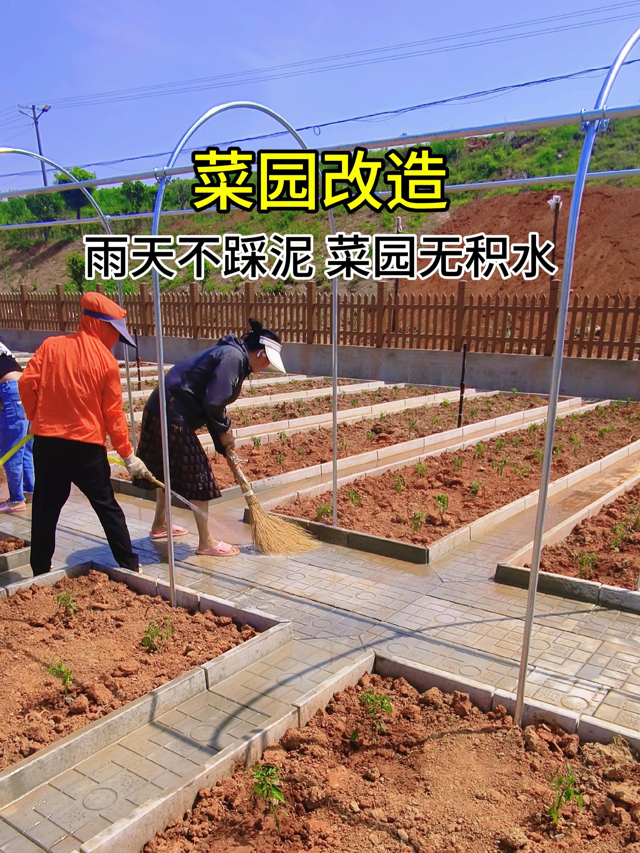 菜沟板改造菜园,下雨不踩泥,菜园无积水 菜沟板 菜园 菜园子有机蔬菜 新农村 别墅设计