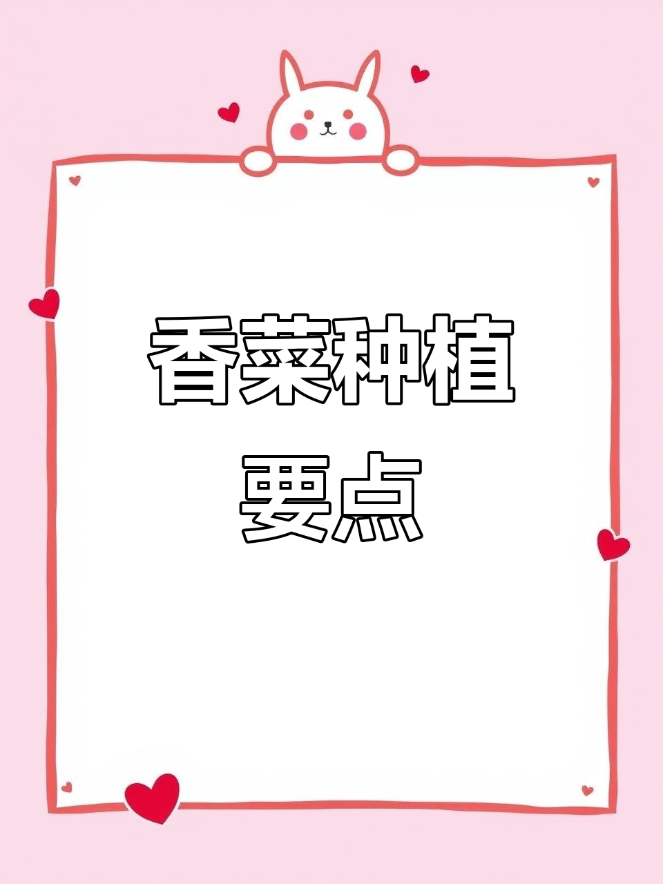 香菜种植技巧:温度控制与控碗管理全解析