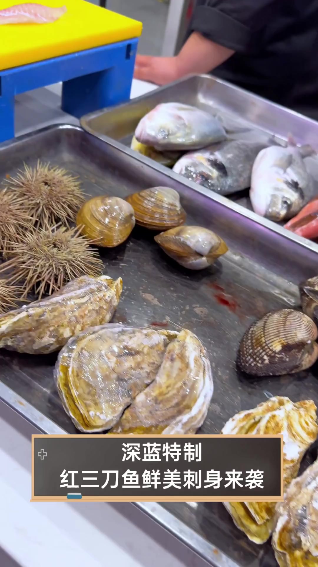 深蓝特制,红三刀鱼鲜美刺身来袭
