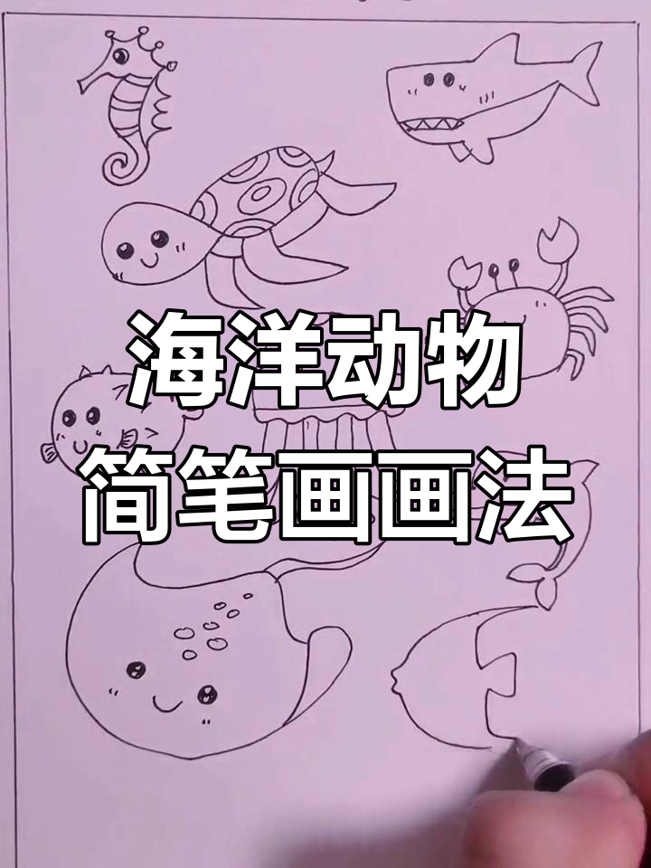 海洋动物简笔画:乌龟、鲨鱼、海豚等超萌小画