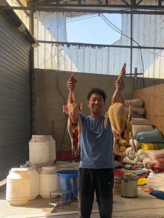 今天做个柴火鸭,野树根炖鸡,用自己家酿的包谷酒,烧鸭子,太好吃咯