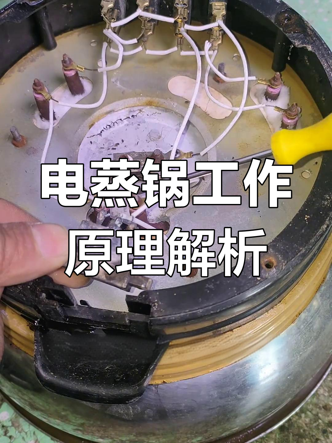 电蒸锅内部线路揭秘:加热原理与三孔插座解析