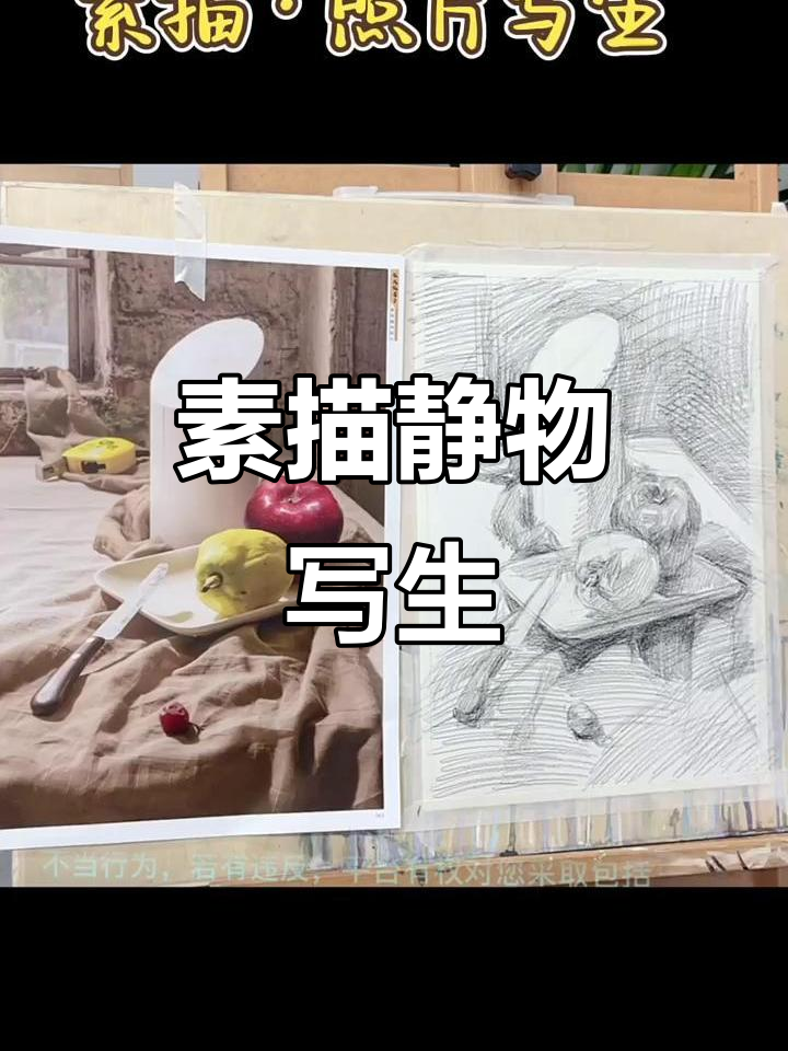 素描静物组合写生技巧解析,掌握基础素描要点