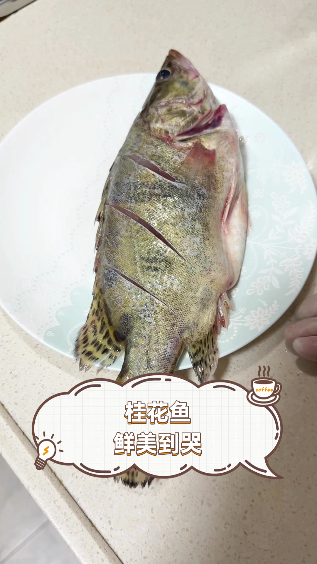 桂花鱼鲜美到哭