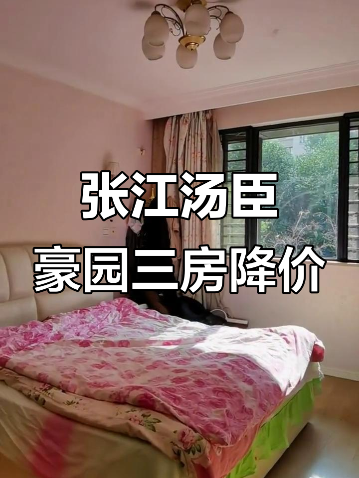张江汤臣豪园四期大三房,直降200万,南北通透设计超温馨