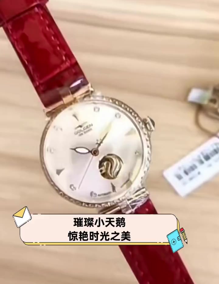 璀璨小天鹅,惊艳时光之美