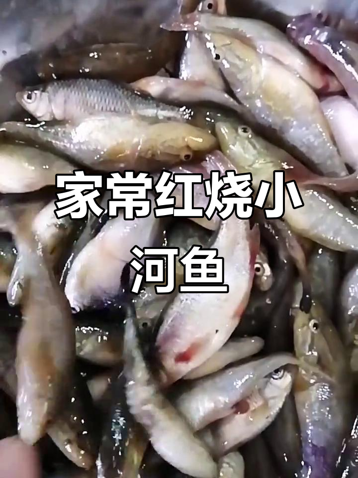简单家常红烧小鱼,配大豆腐更美味