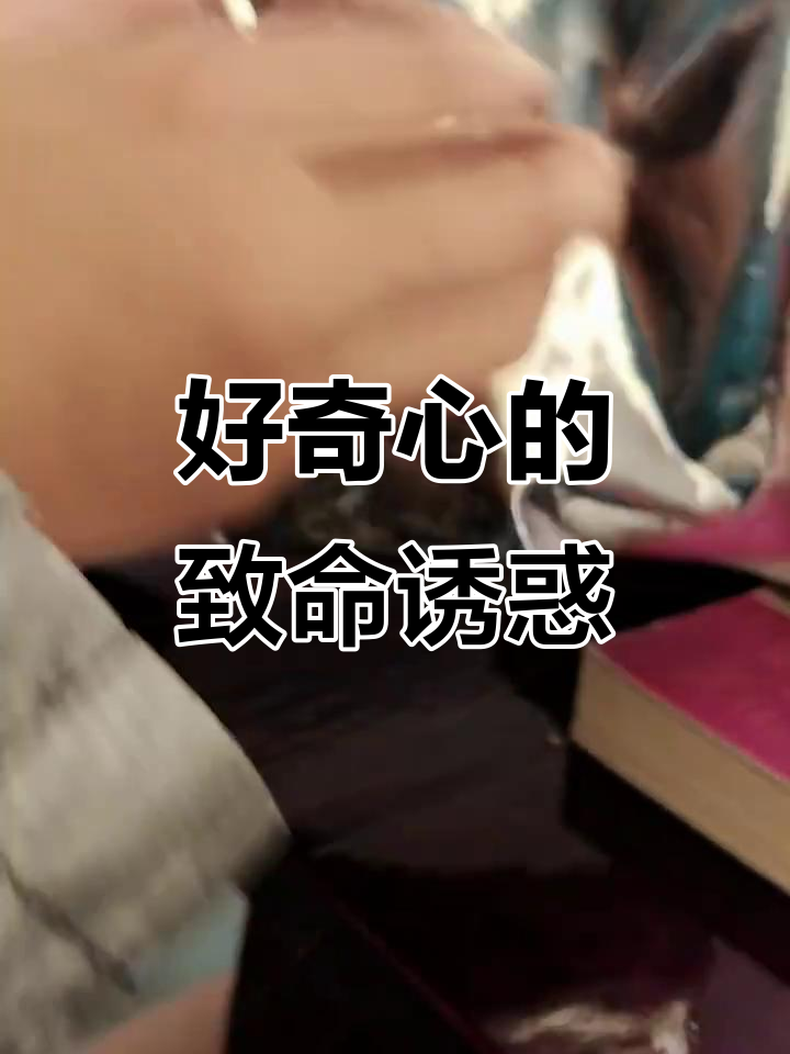 皇家丹麦曲奇：好奇心害死猫，吃上一口停不下来