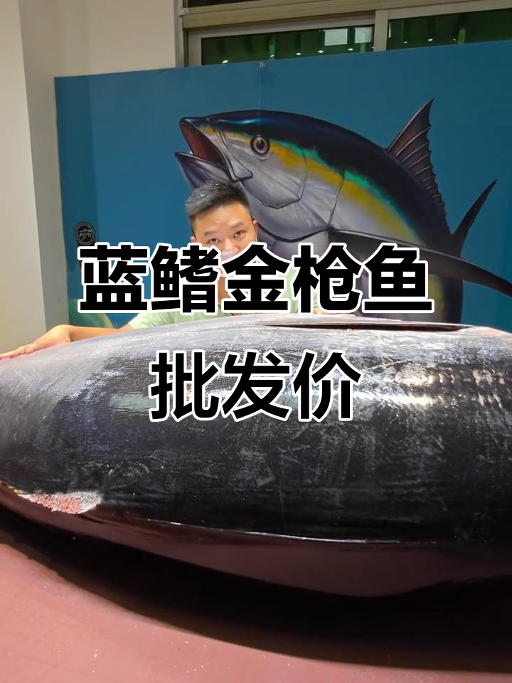蓝鳍金枪鱼各部位批发价格大揭秘,超值优惠等你拿