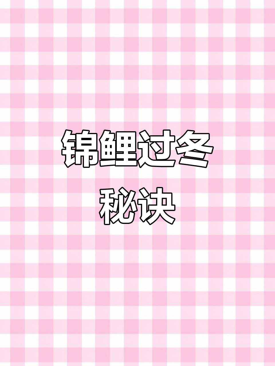 冬季为锦鲤鱼池加温,确保鱼儿温暖过冬
