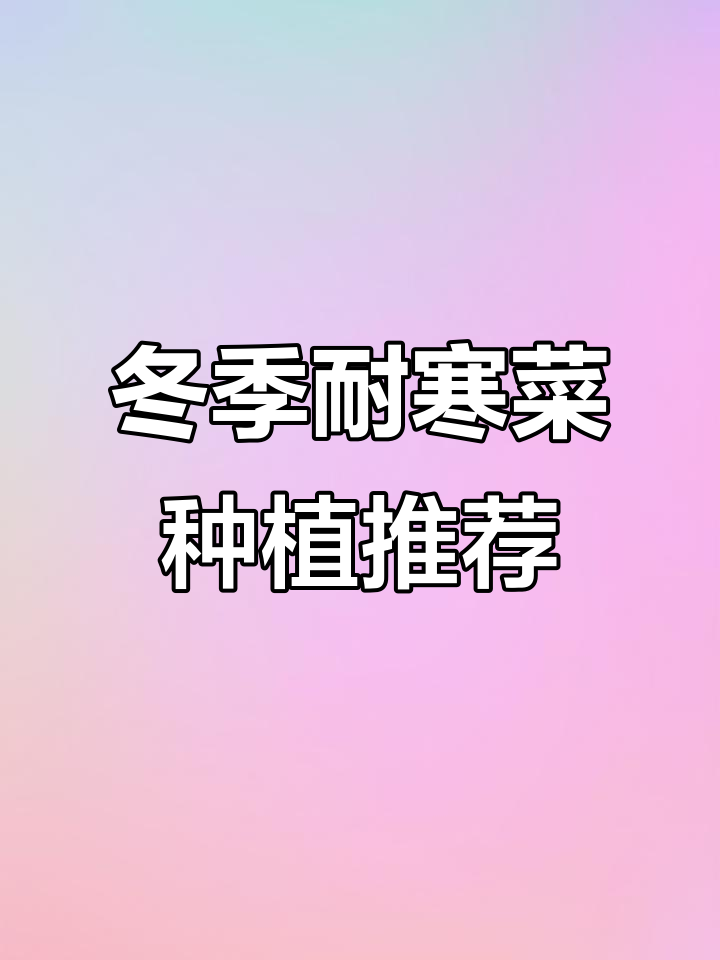12月耐寒蔬菜种植指南,北方南方都能种