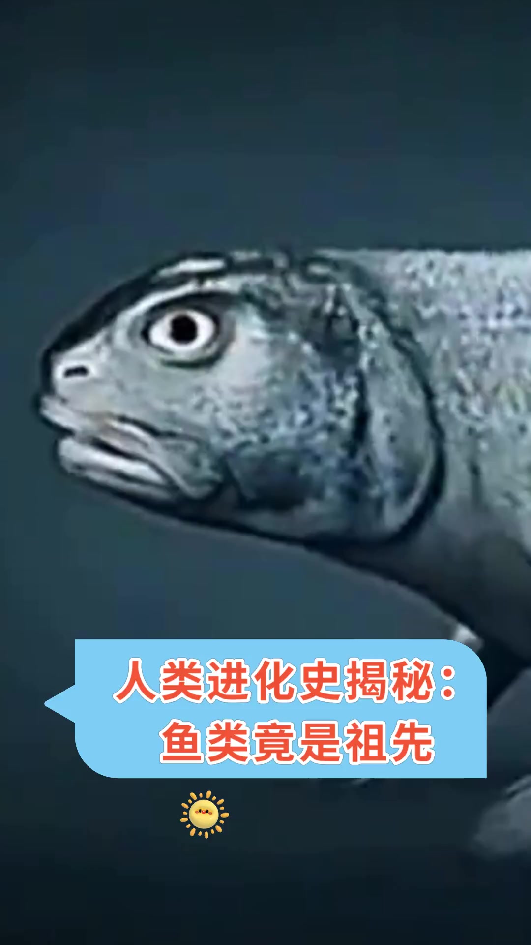 人类进化史揭秘:鱼类竟是祖先
