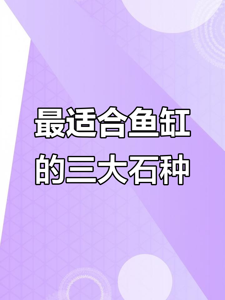 鱼缸里最适合放的三种石头，美观又实用