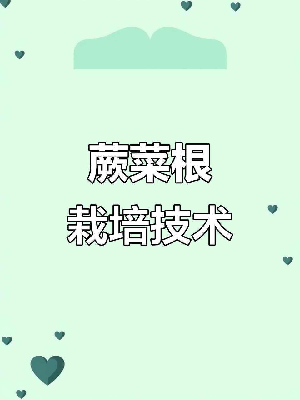 蕨菜根种植技巧大揭秘,轻松掌握栽培方法