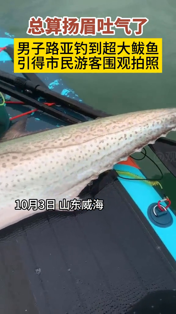 男子用路亚钓到20多斤超大鲅鱼,这得包多少鲅鱼饺子啊