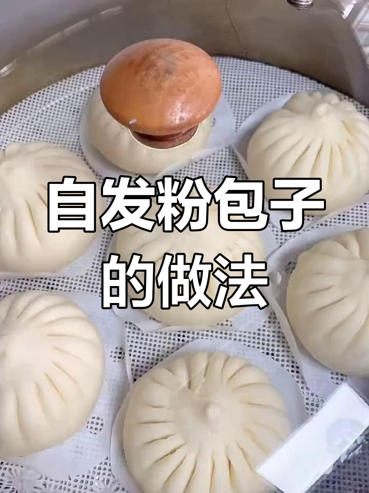 用自发粉轻松做包子,蓬松美味
