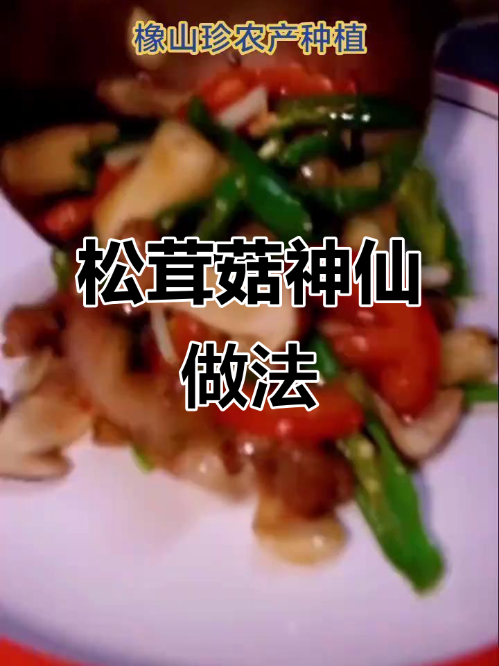 松茸菇的十种美味做法,轻松学会让你食欲大开