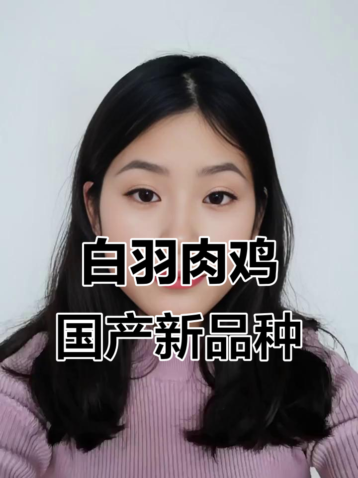 中国白羽肉鸡育种突破,打破国外垄断实现“吃鸡自由”