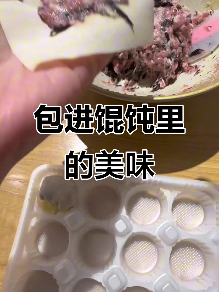 紫菜虾皮馄饨新做法,汤底不再需要!