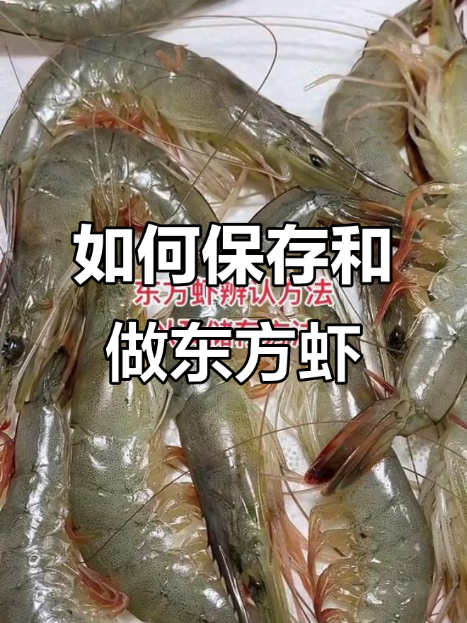 东方虾储存与做法全攻略,教你如何挑选新鲜小岛子虾