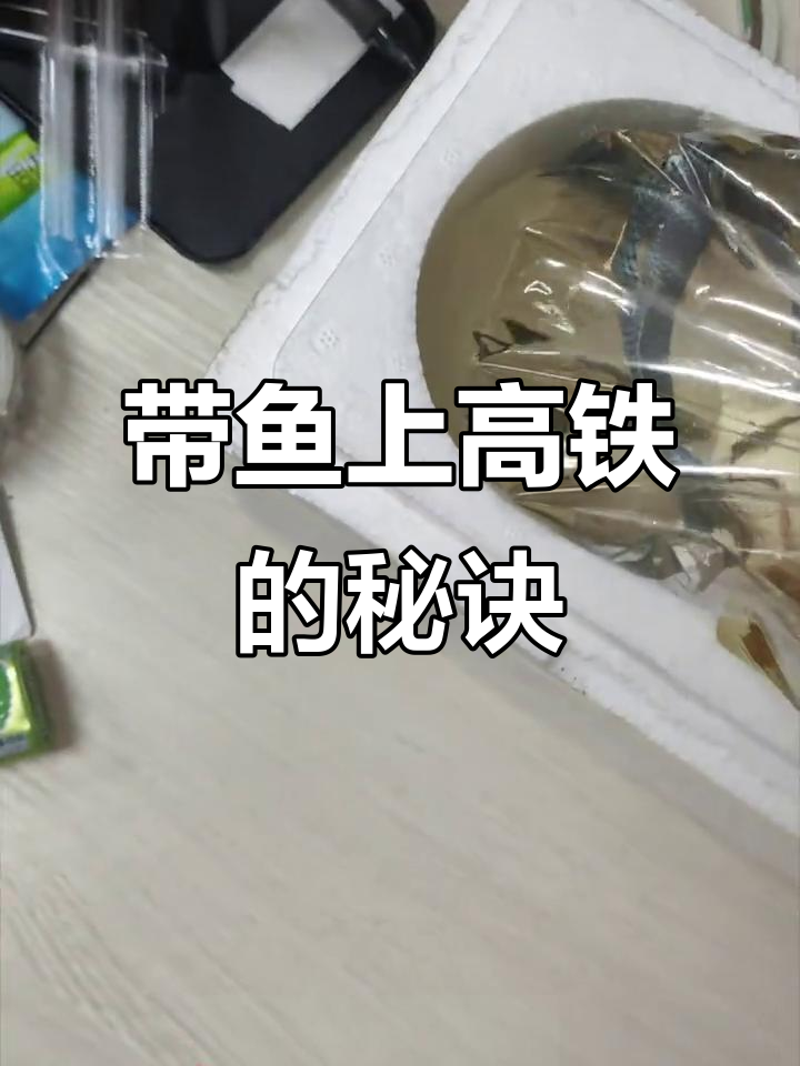 毕业回家带五条小鱼,高铁转运全过程大揭秘