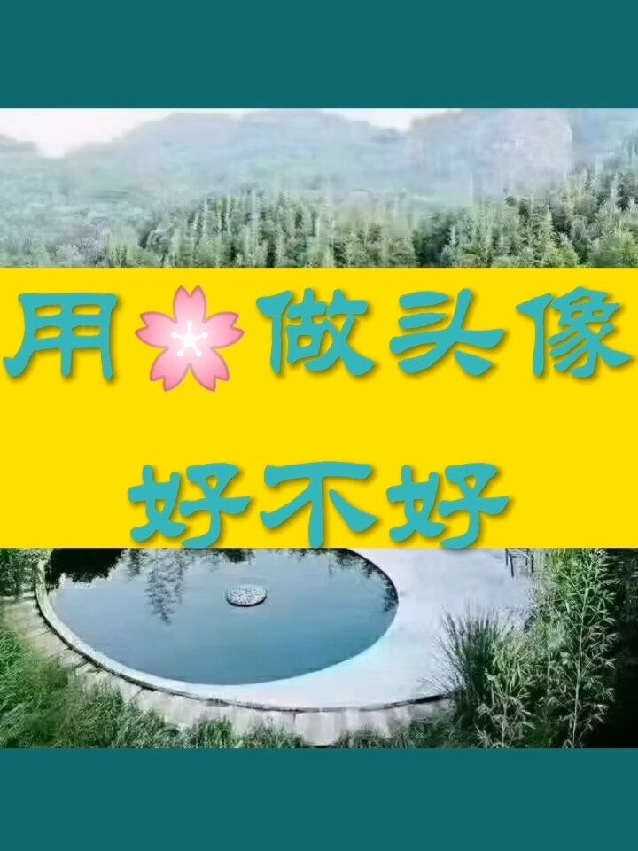 用花做头像好不好?