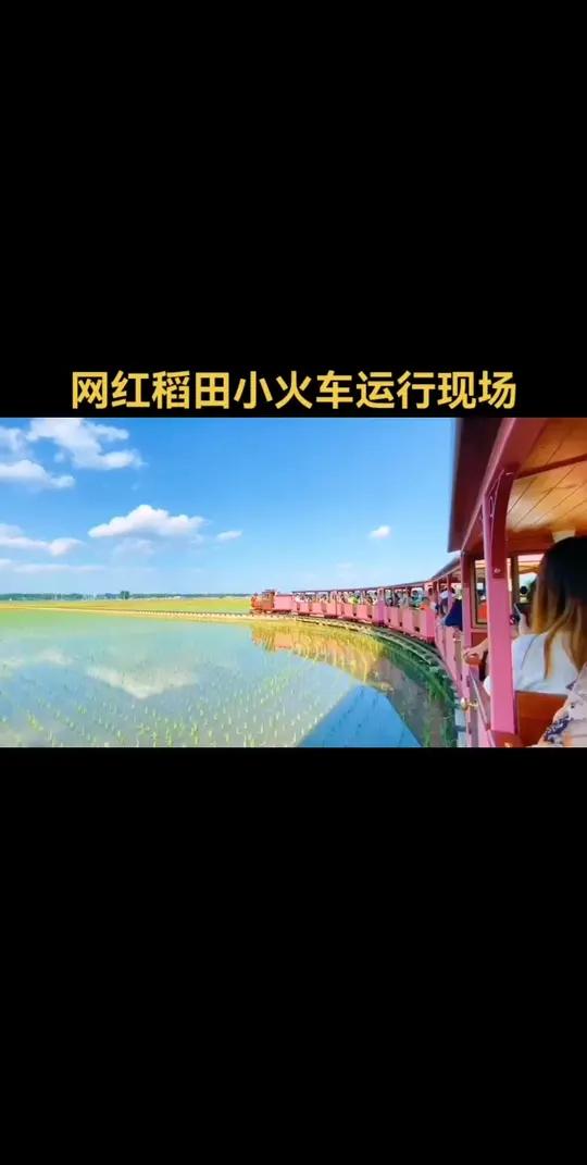 网红稻田小火车能更好地满足户外旅游观光需要,是蒸汽小火车厂家为欣赏稻田画专门打造的设备