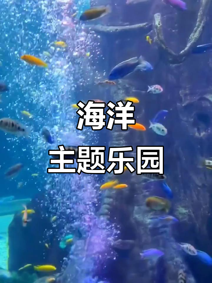 上海海昌海洋公园,集娱乐与教育于一体的独特体验