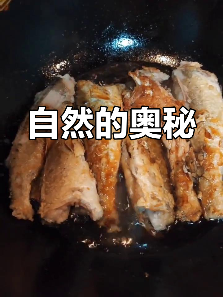 探索未知,感受自然之美