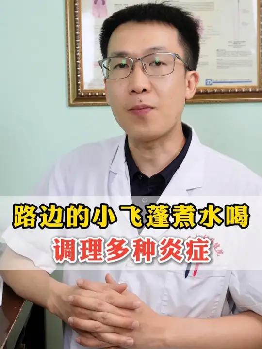 路边的小飞蓬煮水喝,调理炎症