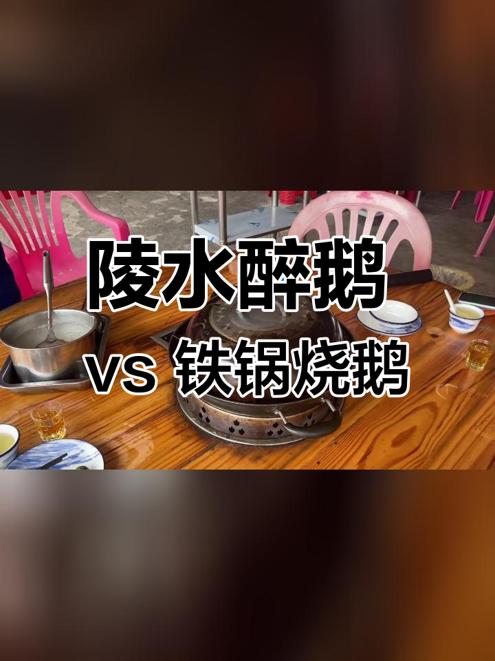 海南陵水醉鹅与川菜铁锅烧鹅对比,哪个更好吃?