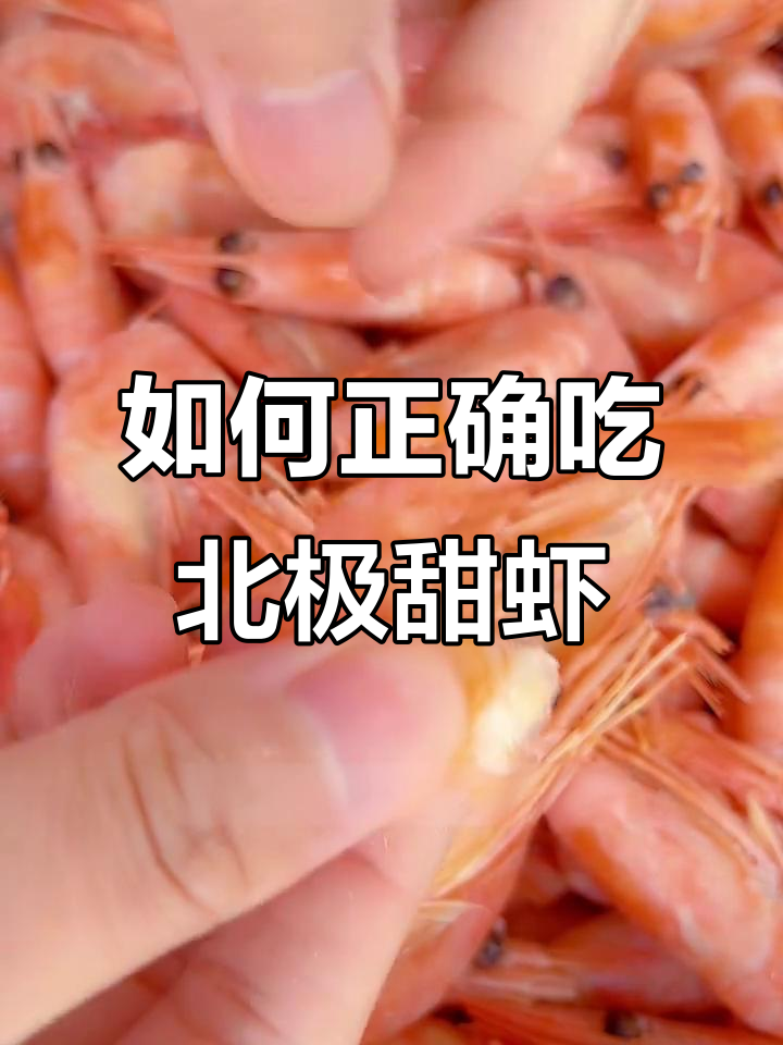 北极甜虾的正确吃法,头籽和肉质一样美味
