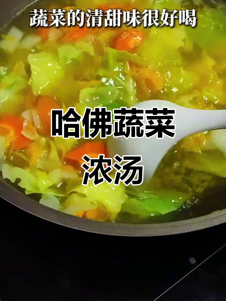 哈佛蔬菜汤,花样做法轻松做,书里也有详细步骤!
